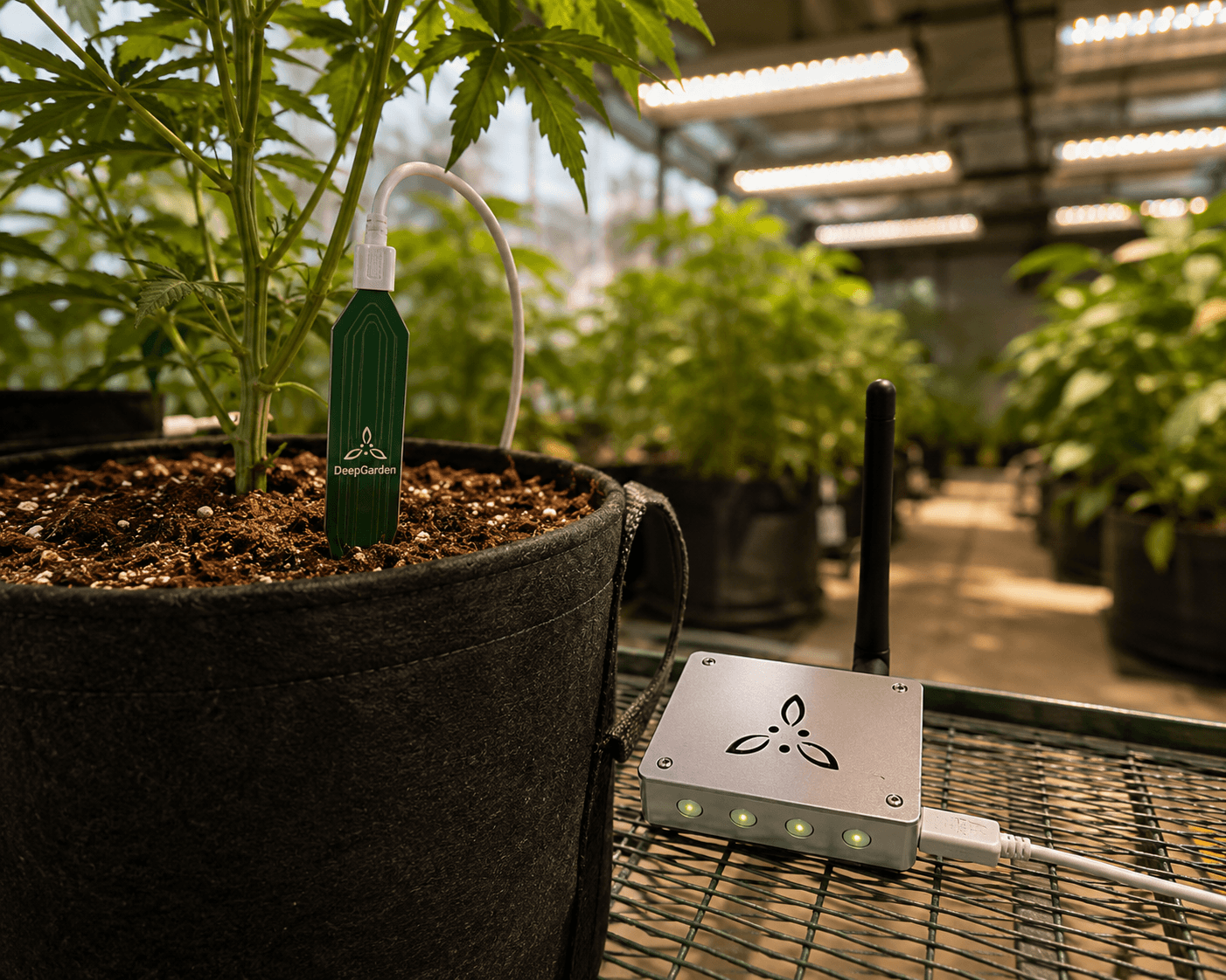 Growbot Soil Station